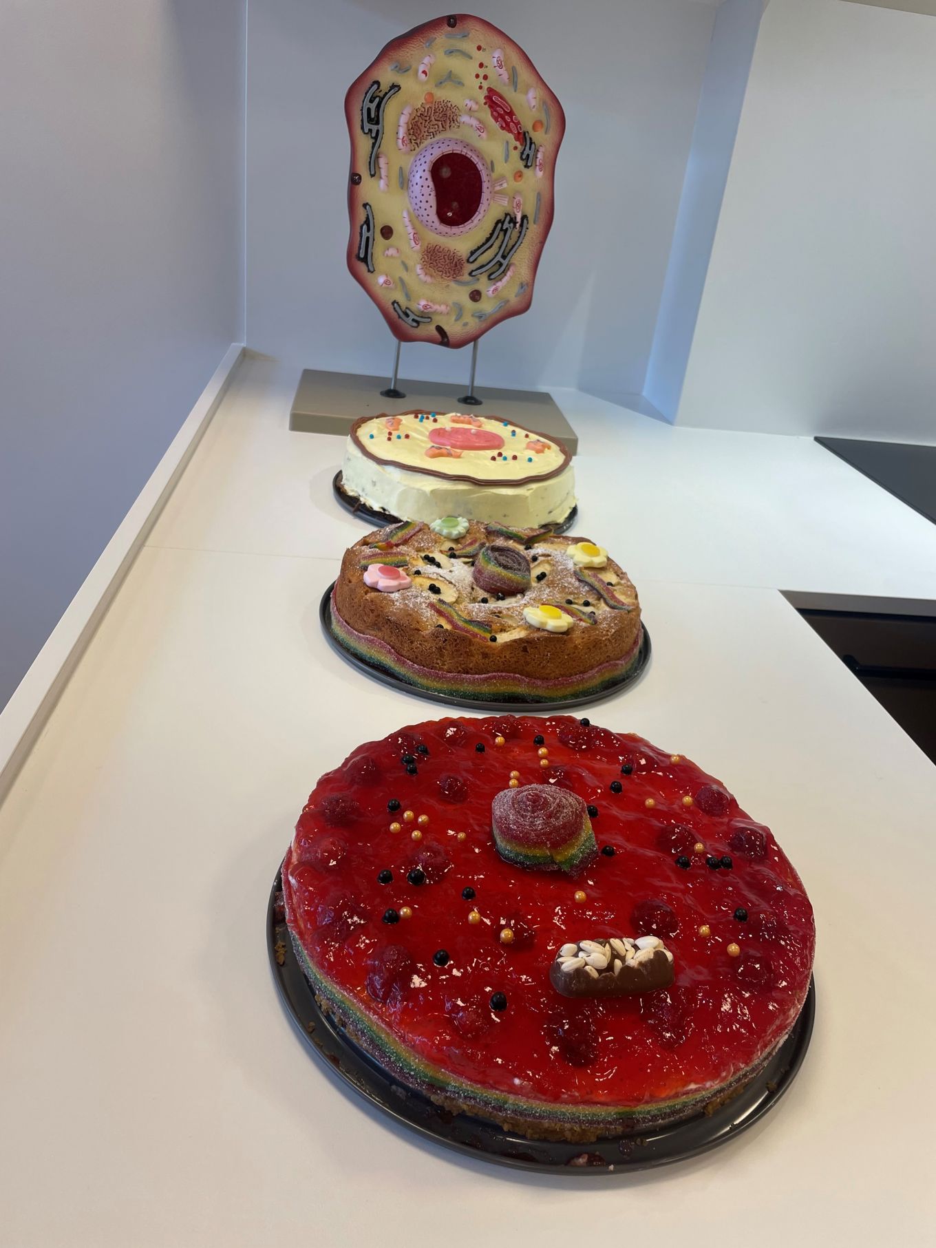 Kakene i konkurransen