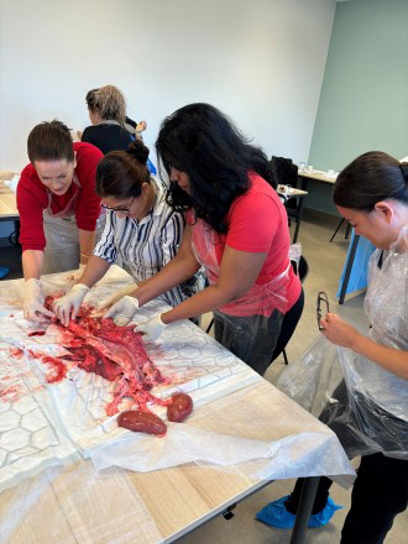 Vg1 helseservice deltakerne lærer om respirasjons- og sirkulasjonssystemet Vg1 helseservice deltakerne lærer om respirasjons- og sirkulasjonssystemet